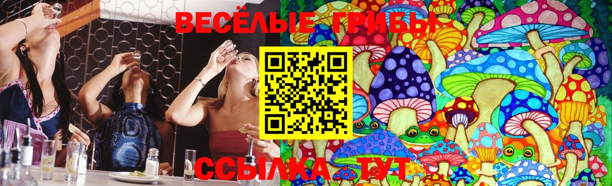 Псилоцибиновые грибы GOLDEN TEACHER Белогорск