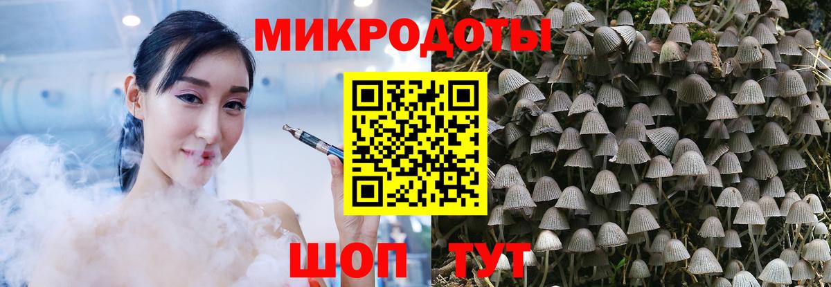 Псилоцибиновые грибы мицелий  Псилоцибиновые грибы Psilocybe  Белогорск  Вход с VPN 